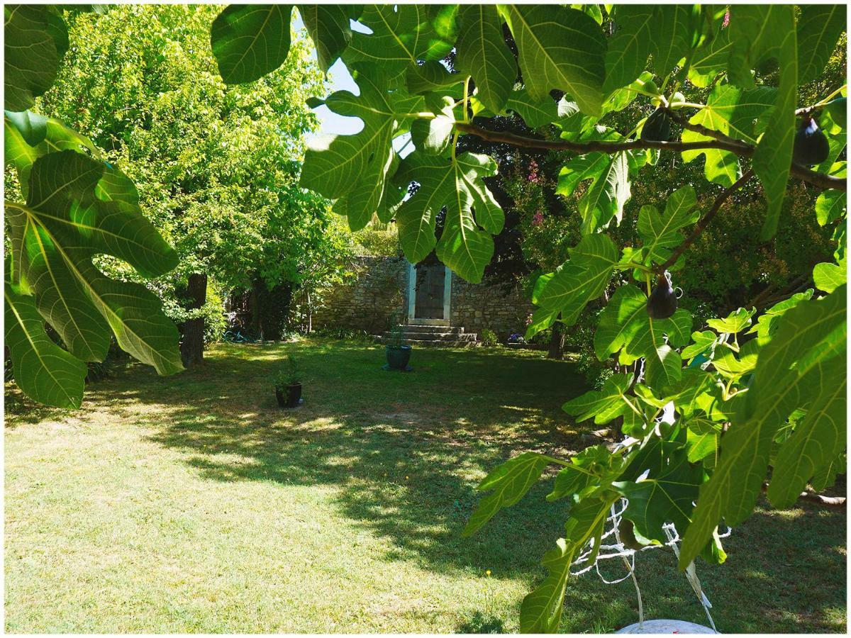 Chambre D'Hote La Romaine Vaison-la-Romaine Exteriér fotografie